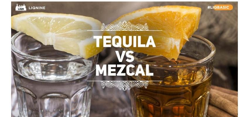 Mezcal - Agave Spirts ที่ไม่ได้เรียกว่า Tequila!