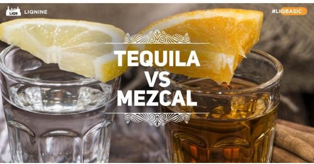 Mezcal - Agave Spirts ที่ไม่ได้เรียกว่า Tequila!