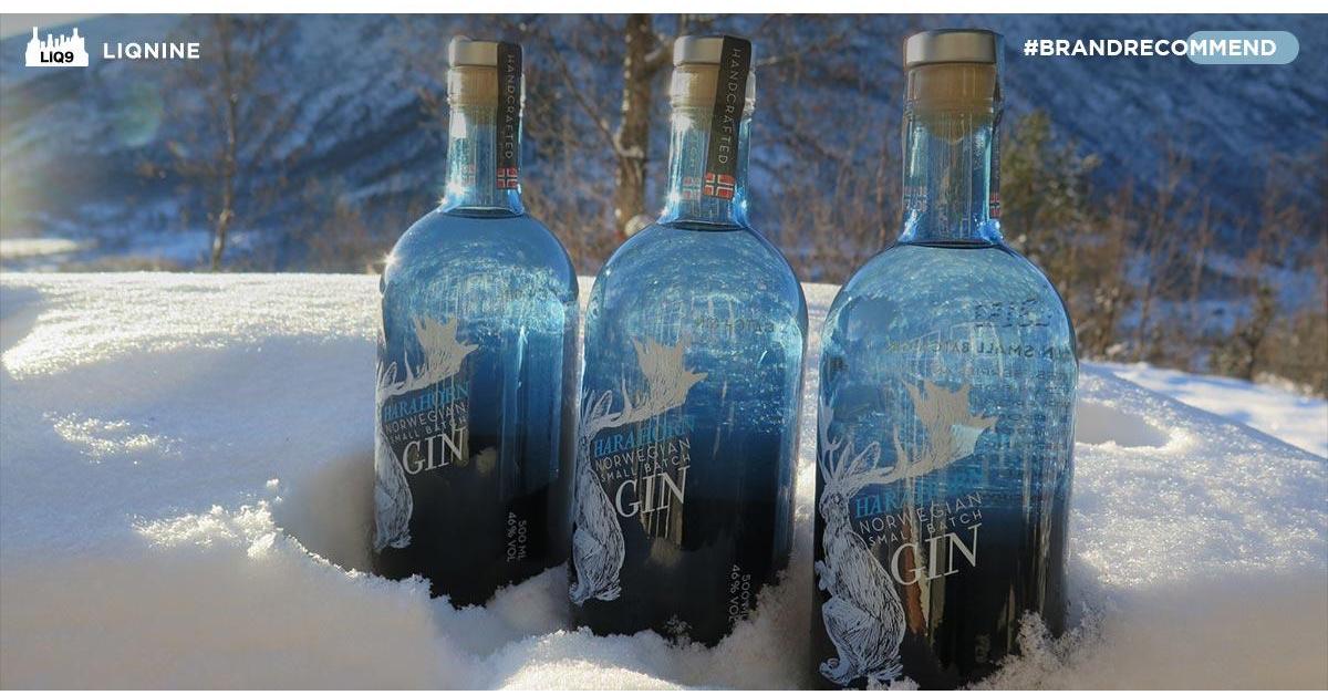Harahorn - Handcraft Gin ชั้นเยี่ยมที่กระแสดีตั้งแต่เปิดตัว