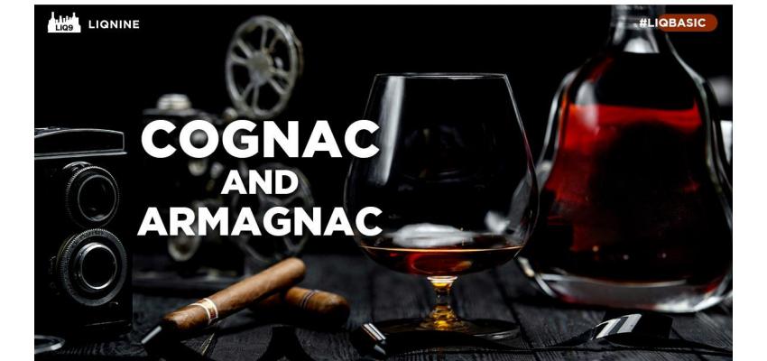 ความแตกต่างของ Cognac และ Armagnac