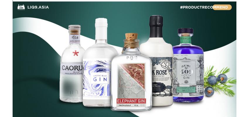 Top 5 Premium Gin มาแรงของปี