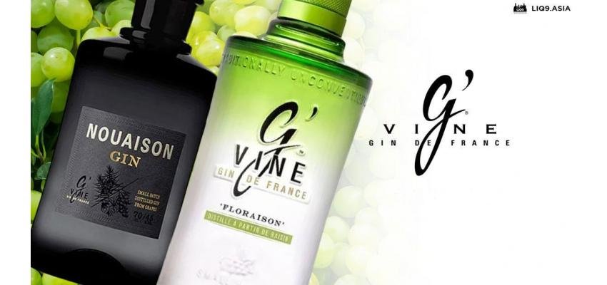 “G’Vine” ไม่ใช่แค่ Gin แต่นี่คือฝรั่งเศส