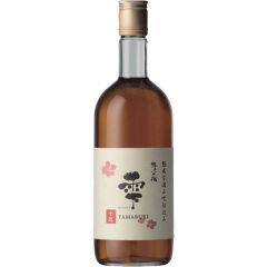 Kinmon Akita Plum Sake Shizuku (300 ml)